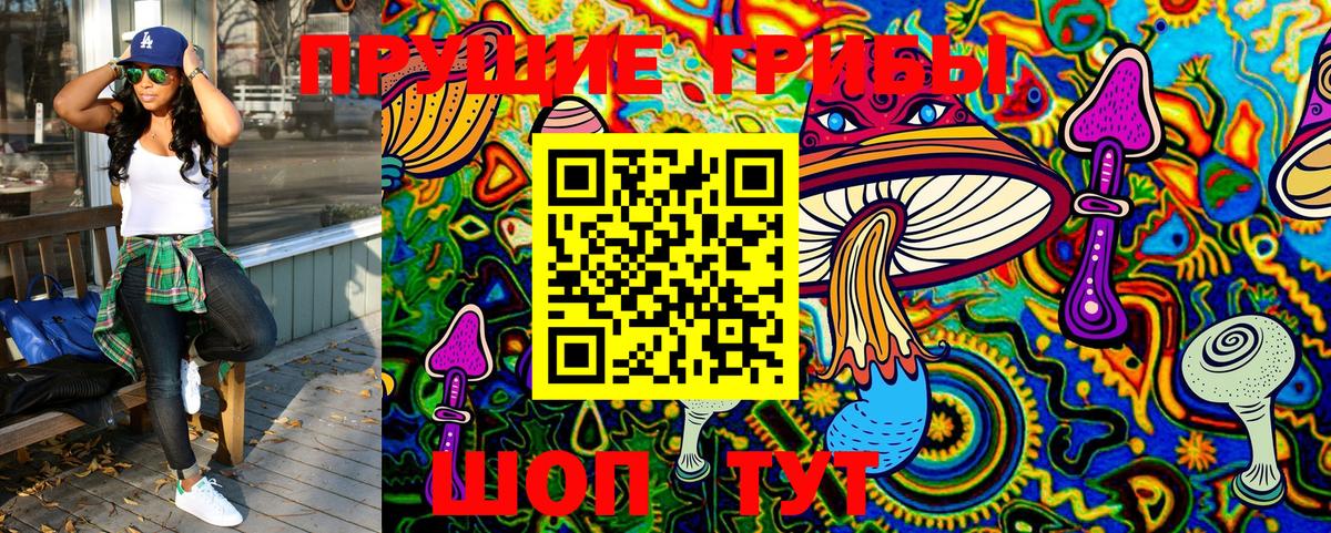 Карачаевск  наркошоп  Вход с VPN  Галлюциногенные грибы MAGIC MUSHROOMS 